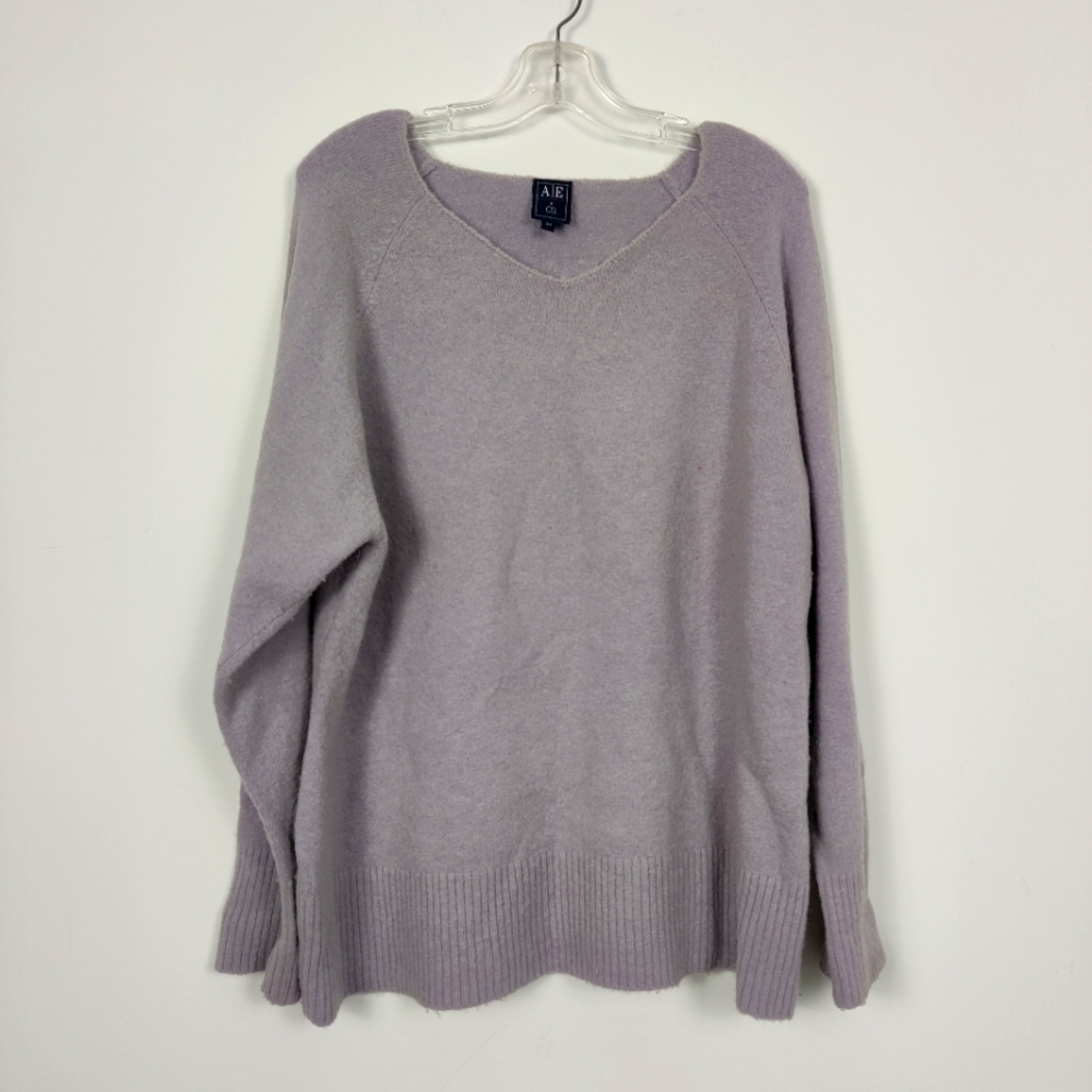 AE Sport & Co Women's V-neck Wool Sweater in Purple Size 3X Quiet Luxury